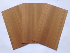 Teak, 500x300x5,5mm