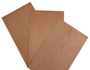 Kirschbaum, 500x300x5,5mm